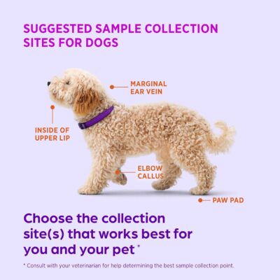 718sjOkOKvL. AC SL1500 AlphaTrak 3 Test Strips for Use with AT3 Blood Glucose Monitoring System for Cats, Dogs, and Horses, 50 Count