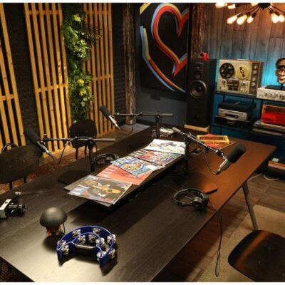 Earthworks ETHOS Condenser Broadcast Microphone – Silver