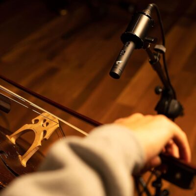Antelope Audio Zen Quadro Synergy Core + Antelope Audio Edge Note Small Diaphragm Condenser Modeling XLR Microphone (Pair)