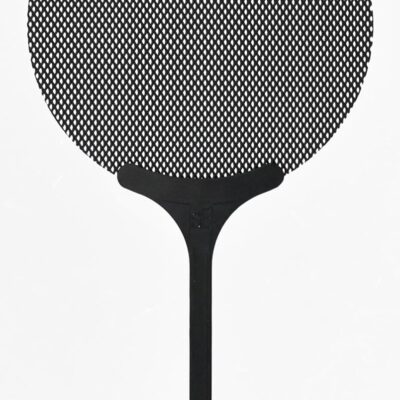 Audiosavings SE Electronics X1 A Bundle: 2C Large Diaphragm Condenser Microphone with 100 Hz Filter & -20 dB Pad, Isolation Pack Metal Pop Filter Shock Mount, Cardioid, 48V, 2-Items