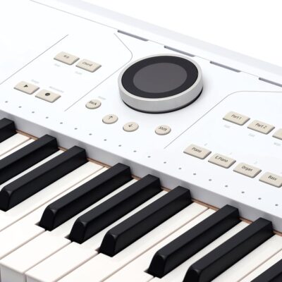Arturia AstroLab 61-Key Semi-Weighted Stage Keyboard — With 1300 Sounds and Analog Lab Pro Software Included