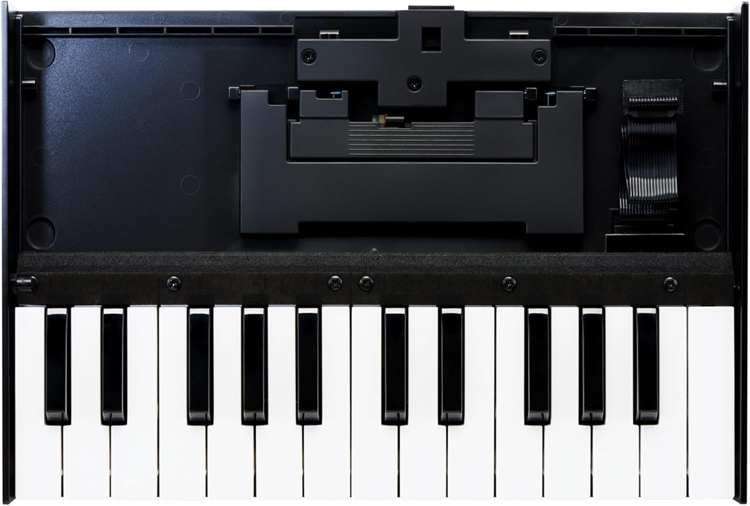 Roland K-25M USB MIDI Keyboard Unit Bundle with MIDI Cable, Online Piano Lessons, and Austin Bazaar Polishing Cloth