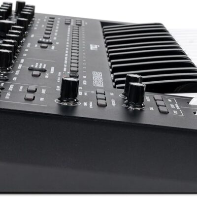 MOOG Messenger – Next-Gen Monophonic Analog Keyboard Synthesizer with 32 Keys, 64-Step Sequencer, 256 Presets and RES BASS Compensation