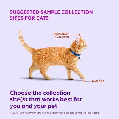 71WwV54yjuL. AC SL1500 AlphaTrak 3 Test Strips for Use with AT3 Blood Glucose Monitoring System for Cats, Dogs, and Horses, 50 Count