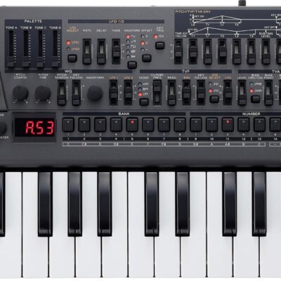Roland JD-08 Sound Module Programmable Synthesizer Bundle with MIDI Cable, Headphones, and Austin Bazaar Polishing Cloth