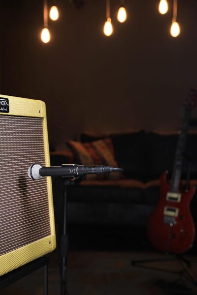 Beyerdynamic M 160 Double Ribbon Microphone