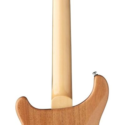 PRS SE Custom 24-08 Electric Guitar, Turquoise with Gig Bag