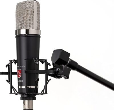 Lauten Audio LA-220 V2 Large-Diaphragm Condenser Microphone