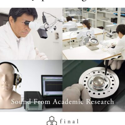 71oRy0j1IOL. AC SL1500 Final E5000 in Ear Isolating Earphones, 6.4mm Dynamic Driver, High-Resolution, Stainless Steel Housing, Detachable Silver-Coated MMCX Cable, Swing-Fit Eartips – Stainless Steel