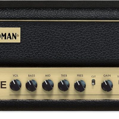 71p9m1QYtoL. AC SL1500 Protectem Covers Dust Cover for Friedman BE-Mini 30 Head