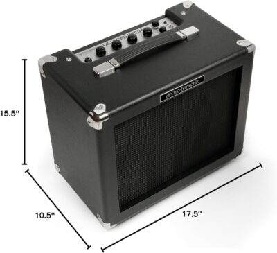 Electro-Harmonix Dirt Road Special 40-Watt Combo Guitar Amp