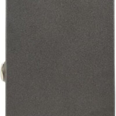 ARP-87 Multi-Function Delay