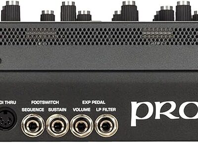 Sequential Prophet-6 Module 6-Voice Polyphonic Analog Synthesizer