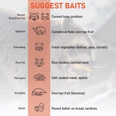 81F44iGMH2L. AC SL1500 HOMESTEAD 42 Heavy Duty Live Animal Trap – Professional Quick Set Trigger, Galvanized Steel Cage, Camouflage Finish, Rust Proof Mesh, Fully Assembled | Humane Catch & Release Raccoon, Fox & Similar