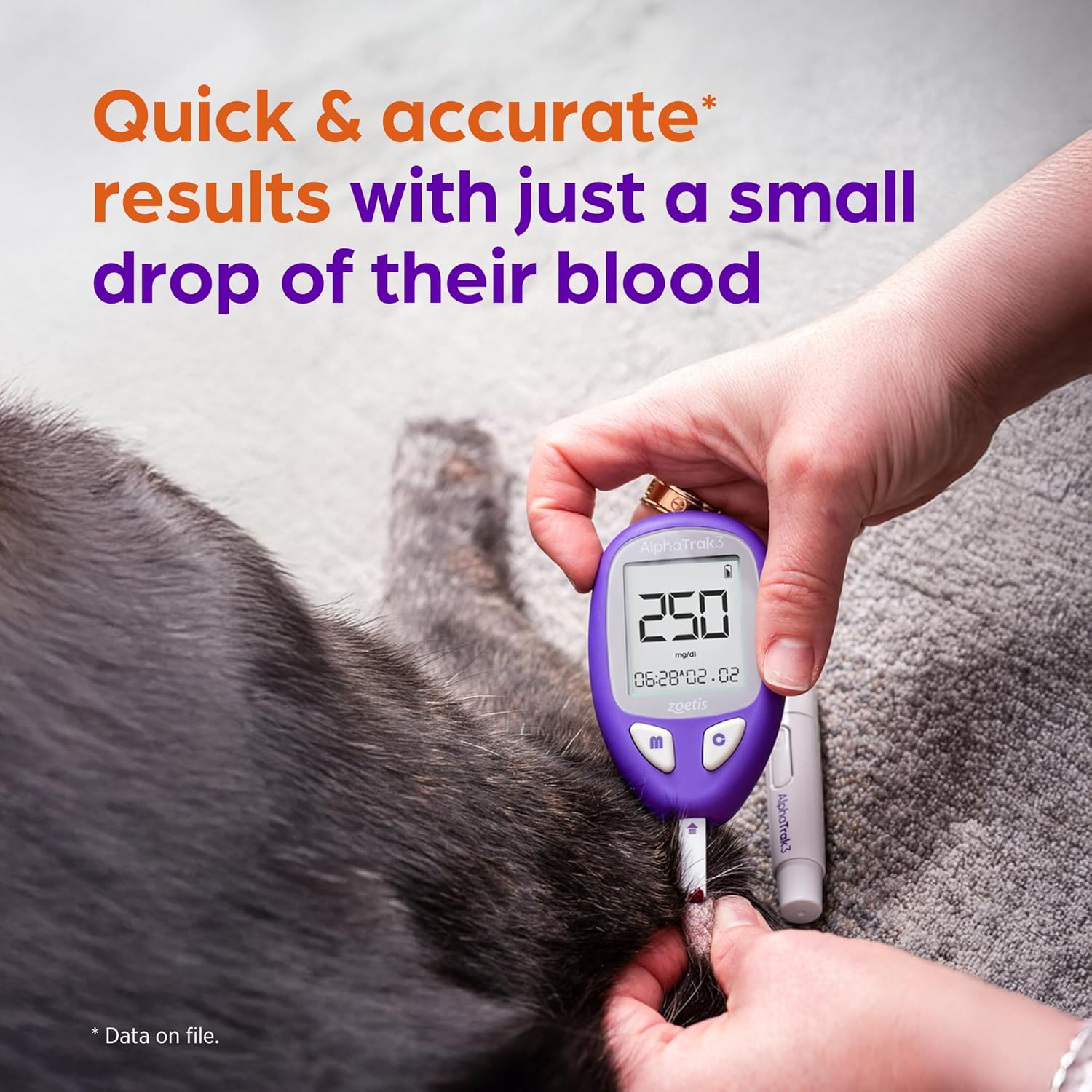 AlphaTrak 3 Test Strips for Use with AT3 Blood Glucose Monitoring System for Cats, Dogs, and Horses, 50 Count