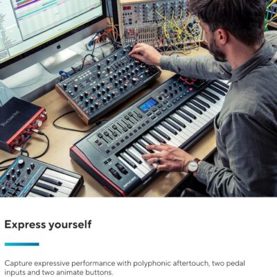 Novation Peak 8-Voice Desktop Polyphonic Synthesiser with 2 LFOs per voice, 16-slot modulation matrix, 3 analogue distortion points, and digital effects