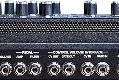 81VDaHWIzJL. AC SL1500 Sequential Prophet-5 Module 5-voice Polyphonic Analog Synthesizer