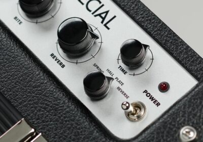 Electro-Harmonix Dirt Road Special 40-Watt Combo Guitar Amp