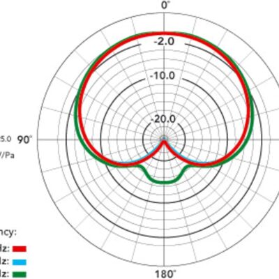Rode NT1000 Large-Diaphragm Condenser Microphone, Silver