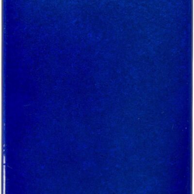 Walrus Audio Slö Multi Texture Reverb