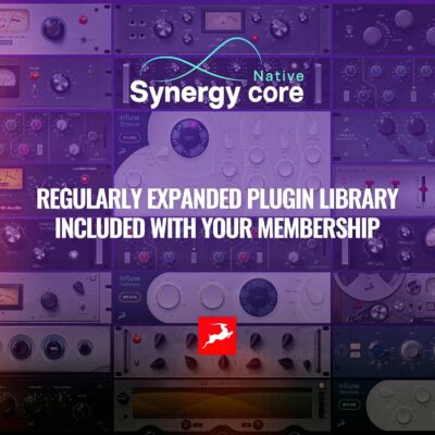 Antelope Audio – Synergy Core Native (1 Year)