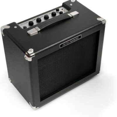 Electro-Harmonix Dirt Road Special 40-Watt Combo Guitar Amp