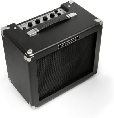 Electro-Harmonix Dirt Road Special 40-Watt Combo Guitar Amp