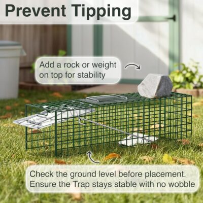 HOMESTEAD Heavy Duty Live Trap – Professional Style One-Door Live Animal Traps for Rabbit, Squirrel, Possum, Skunk, Kitten, Mink Small