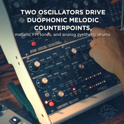 MOOG Labyrinth – Semi-Modular Parallel Generative Analog Synthesizer with Dual Sequencer, Dual Oscillators, VC Wavefolder, VC Filter, Patch Bay