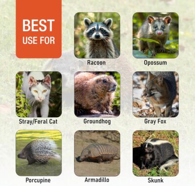 91C NIMlCRL. AC SL1500 HOMESTEAD 42 Heavy Duty Live Animal Trap – Professional Quick Set Trigger, Galvanized Steel Cage, Camouflage Finish, Rust Proof Mesh, Fully Assembled | Humane Catch & Release Raccoon, Fox & Similar