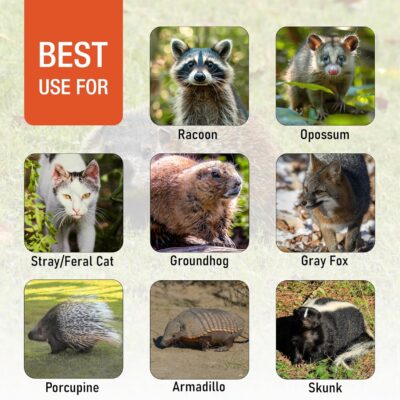 91C NIMlCRL. AC SL1500 HOMESTEAD 42 Heavy Duty Live Animal Trap – Professional Quick Set Trigger, Galvanized Steel Cage, Camouflage Finish, Rust Proof Mesh, Fully Assembled | Humane Catch & Release Raccoon, Fox & Similar