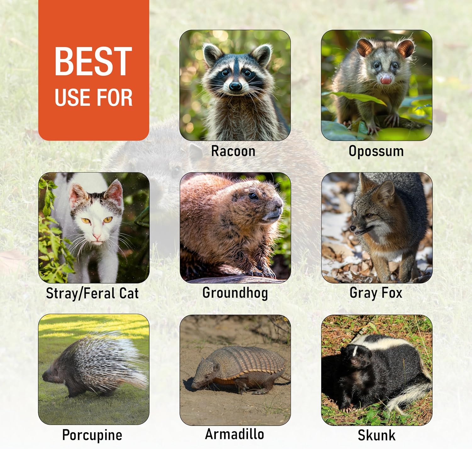 HOMESTEAD 42 Heavy Duty Live Animal Trap – Professional Quick Set Trigger, Galvanized Steel Cage, Camouflage Finish, Rust Proof Mesh, Fully Assembled | Humane Catch & Release Raccoon, Fox & Similar