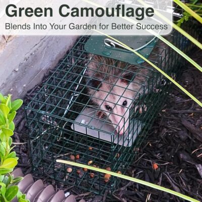 HOMESTEAD Heavy Duty Live Trap – Professional Style One-Door Live Animal Traps for Rabbit, Squirrel, Possum, Skunk, Kitten, Mink Small