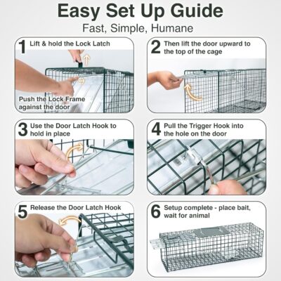 HOMESTEAD Heavy Duty Live Trap – Professional Style One-Door Live Animal Traps for Rabbit, Squirrel, Possum, Skunk, Kitten, Mink Small