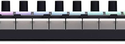 41Uni7Lt5WL. AC SL1500 Audiosavings Bundle: Novation LAUNCHKEY MINI 37 MK4 37-key MIDI Ableton Live Keyboard Controller Bundle with Rockville RMC-XLR High-End Metal DJ Handheld Wired Microphone Mic (2 Items)