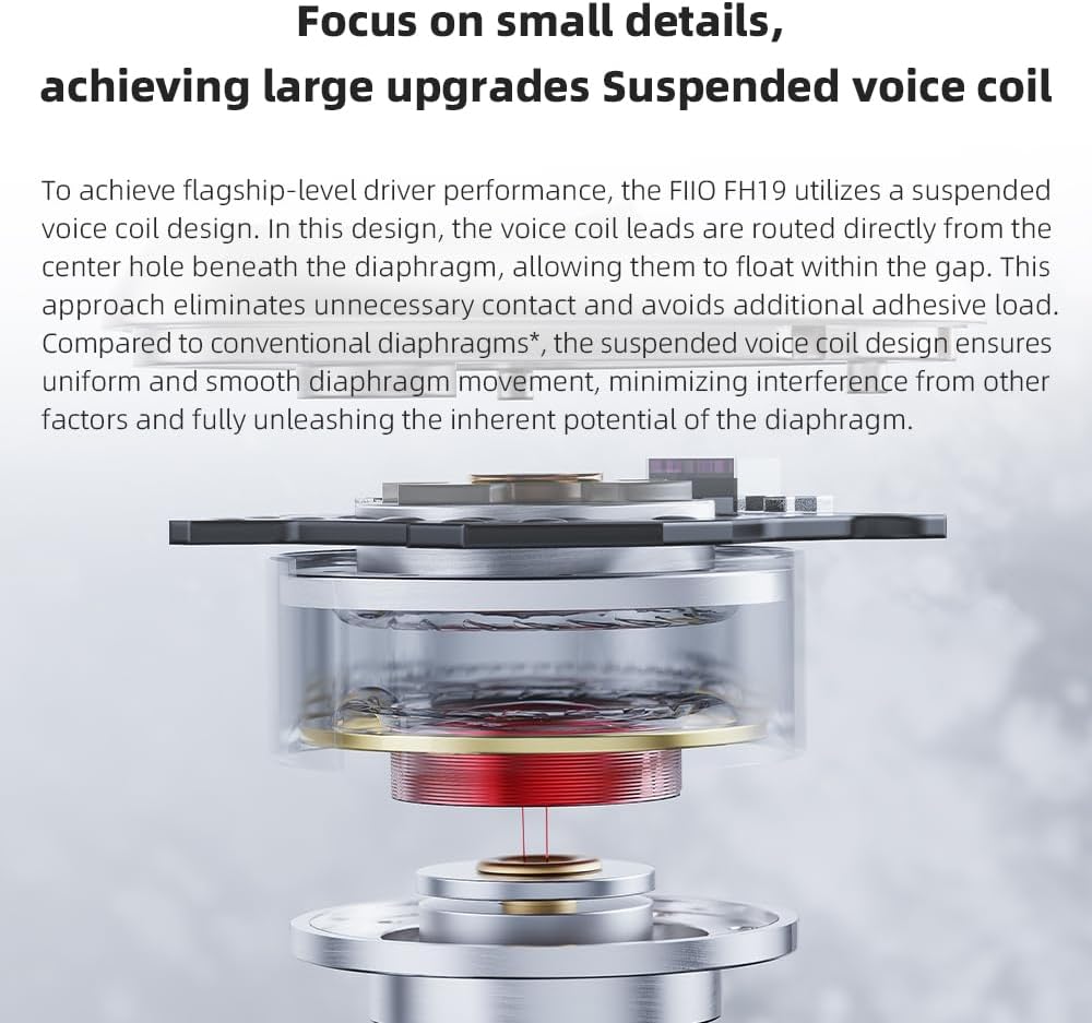 FiiO FH19 HiFi IEM Earphone| 2 Dynamic+ 6 BA Hybrid Driver IEM, Detachable MMCX Headphone Cable for Musician Audiophile