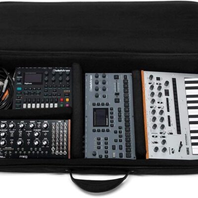 ANALOG CASES Prophet Rev2 / Trigon-6 / Prophet 6 /OB6 Case – Custom-Fitted Padded SUSTAIN Travel Case with Backpack Straps