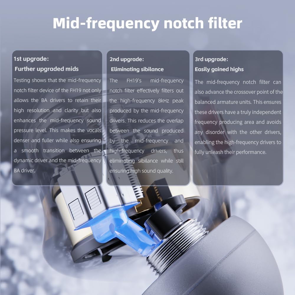 FiiO FH19 HiFi IEM Earphone| 2 Dynamic+ 6 BA Hybrid Driver IEM, Detachable MMCX Headphone Cable for Musician Audiophile