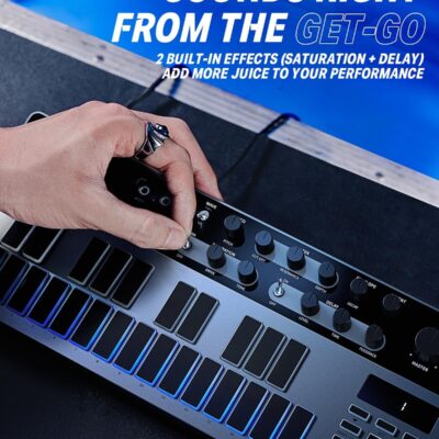 71DFnQAHMDL. AC SL1500 Analog Bass Synthesizer and Sequencer, Donner Essential B1 with Intuitive User Interface, 128 Patterns Memory, Saturation & Delay Effects, Make for Classic Acid Sound