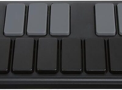 71TRk2uYq5L. AC SL1500 1781223965 6278 Korg, 25-Key Midi Controller (NANOKEY2BK),Black